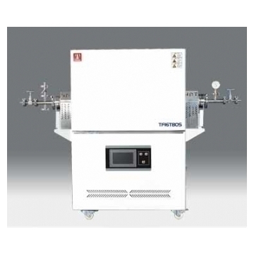 ���̩˹�����/��չ�ʽ�tTF16P100